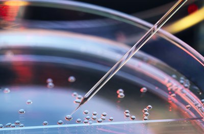Does Insurance Cover Stem Cell Procedures?