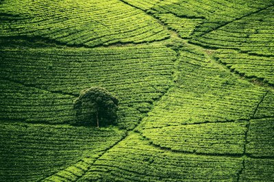 How to Insure Vacant Land