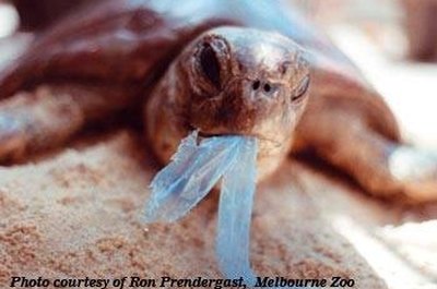 Disadvantages of Plastic Bags