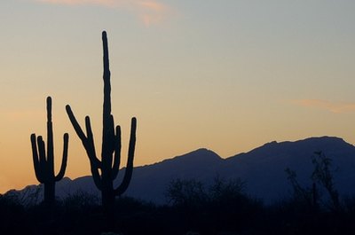 Arizona