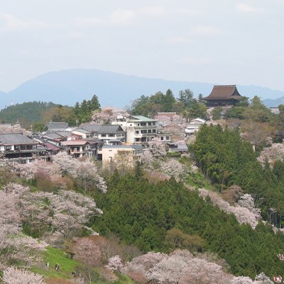 Good Places to Visit in Early March in Japan | USA Today