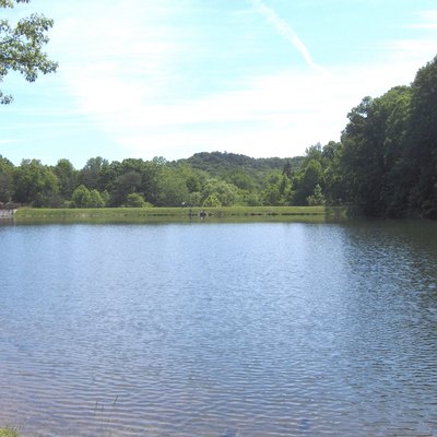 Hiking in Jefferson Memorial Forest in Kentucky | USA Today