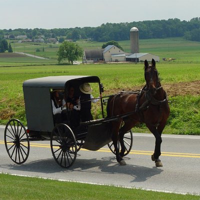 Amish Tourism in Texas | USA Today