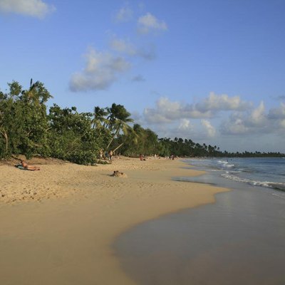 Martinique Island Tours | USA Today