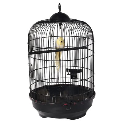 Ablestock.com/AbleStock.com/Getty Images An empty cage is no fun for this guy.