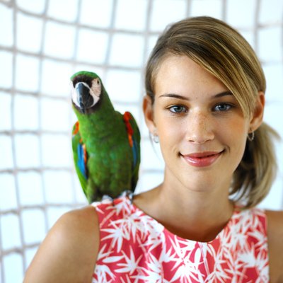George Doyle/Stockbyte/Getty Images Use moderation when feeding your bird nuts, which are high in fat.