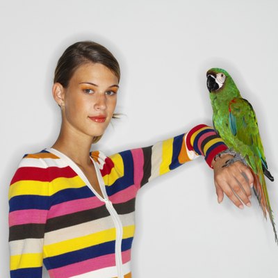 George Doyle/Stockbyte/Getty Images Spend time with your feathered friend to prevent boredom.