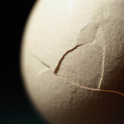 Photodisc/Photodisc/Getty Images Eggs and even shells serve in many dog food recipes.