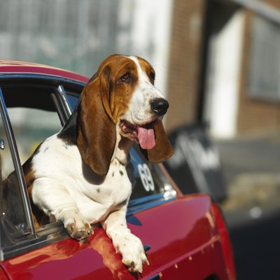 George Doyle/Stockbyte/Getty Images "The city life smells great."