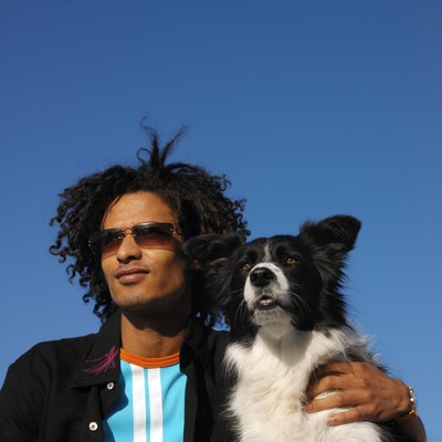 George Doyle/Stockbyte/Getty Images Border collies have an intense stare as they focus on sheep or Frisbees.