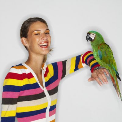 George Doyle/Stockbyte/Getty Images Parrots can be taught to mimic human speech.
