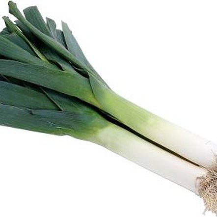 Can the Leek Vegetable Be Companion Planted With Other ... Can the Leek Vegetable Be Companion Planted With Other ... Leek Companion Plants