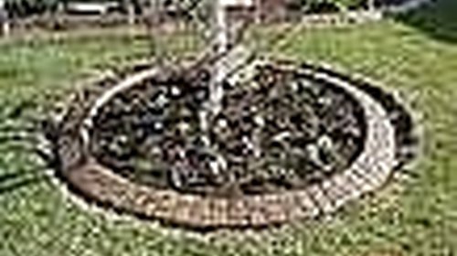 how-to-create-a-perfect-circle-around-a-tree-home-guides-sf-gate