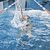 How to Improve Backstroke Sprinting Skills