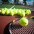 What Are the Safety Precautions for Tennis?