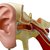 Difference Between Inner Ear & Middle Ear Infection