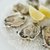 Oyster Benefits and Bad Effects