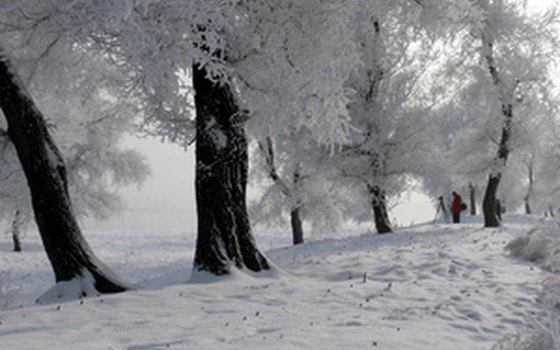 Winter on Wusong Island, China.