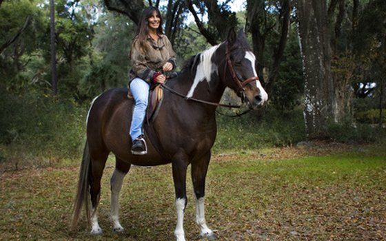 Saddle up and hit the trails around the Stony Creek Family Campsite.