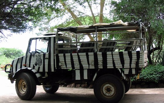 Safari in the dry season for the most animals.