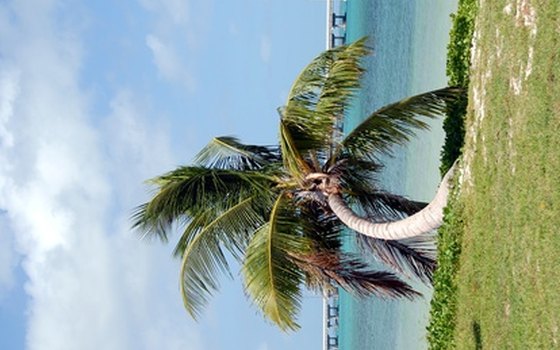 Key West's beaches are ideal for snorkeling and fishing.