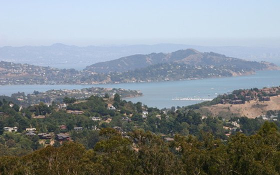 Muir Beach Overlook showcases the California coastline.