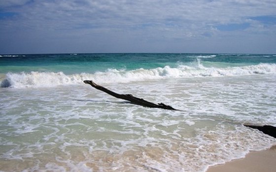 Holbox Fly Fishing Lodge in Cancun caters to fly fishermen and non-fishing companions.