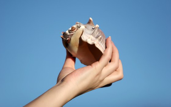 A warmed seashell massage replaces the hot stone therapy at one Caribbean resort.