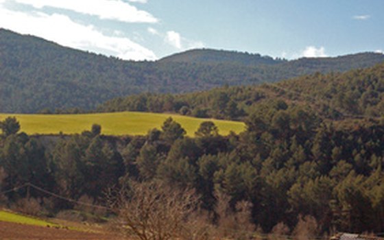 Visit vineyards in the Spanish countryside.