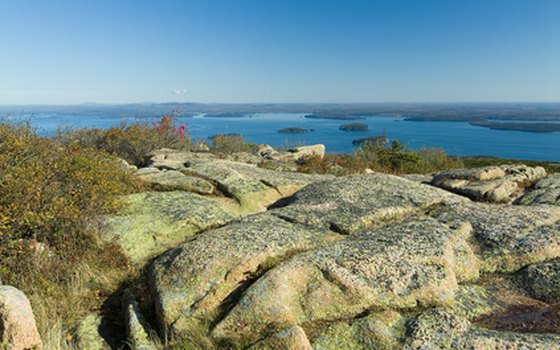 Bus tours take visitors to the summit of Cadillac Mountain.