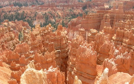 Bryce Canyon.