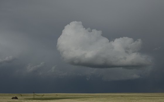 Georgia can get extreme weather, so it's a good idea to travel with a working radio.