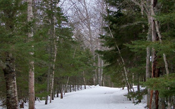 Winter dusts the historic carriage roads with snow.