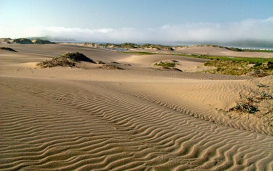 Take a winter horseback vacation to avoid the desert heat.