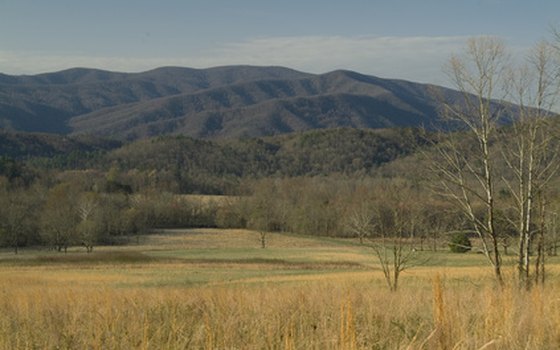 Visitors to national parks like Great Smoky Mountains will find many interpretive and educational resources.