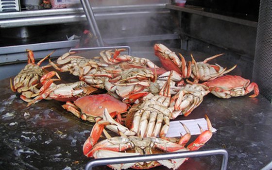 Make a meal of the famed Chesapeake Bay blue crabs.