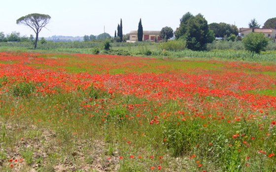 Summer is high season in Italy.