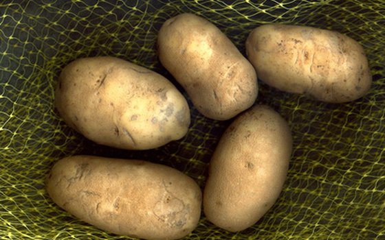 Potatoes and root vegetables are steamed and boiled.