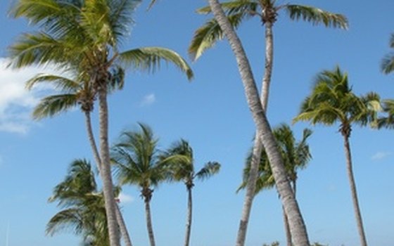 Find your own tropical beach or visit Lover's Key near Sanibel Island.