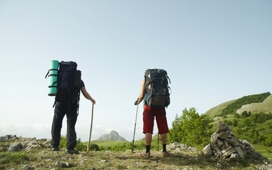 Many parks offer traditional activities, such as hiking.