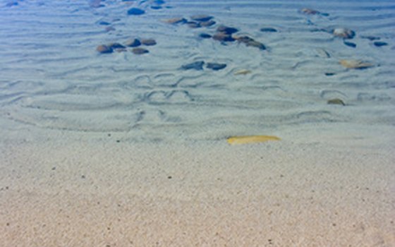 Lake Tahoe's shallow shoreside waters.