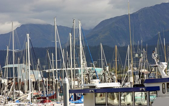 Seward Harbor is a good place for bald eagle watching.