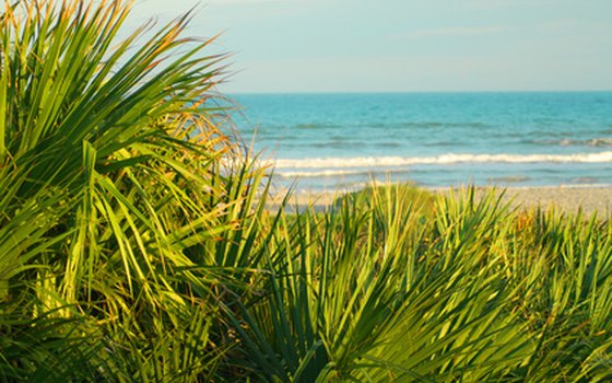 Beautiful coastal vistas are one reason couples choose Myrtle Beach for a wedding.