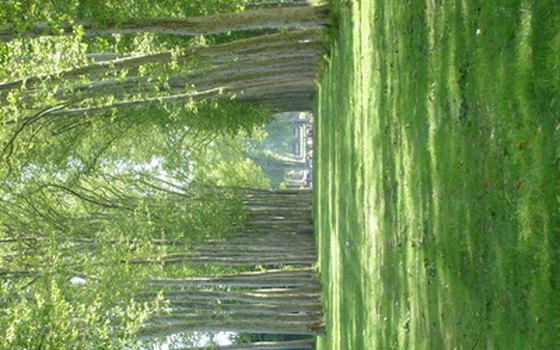 Trees shade the area.