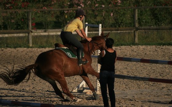 Some facilities offer jumps and other amenities for boarders to use.