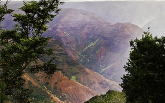 Take a shore excursion to Kauai's Waimea Canyon.