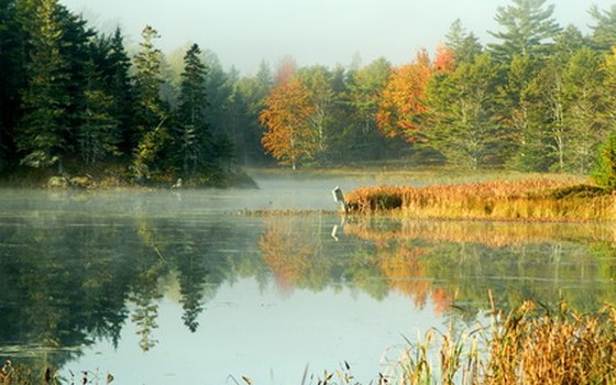 Encounter quiet ponds along the Park Loop Road.