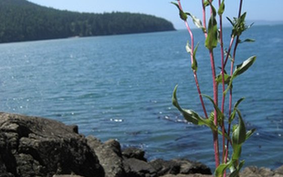 A scenic view of Washington Park, located in Washington.