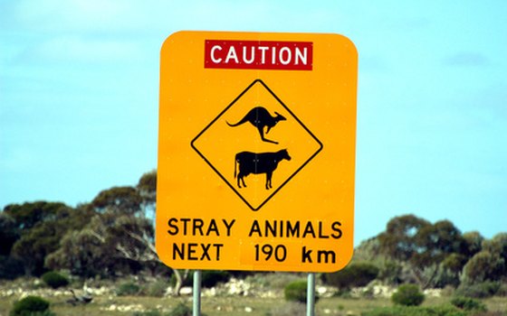 You'll see some unusual signs as you drive in Australia.