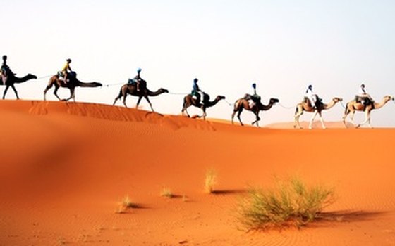 Saga Tours eight-day trek will take you via camel into the Sahara Desert.